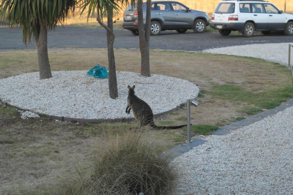 Clifftop Hotel Smiths Beach Esterno foto